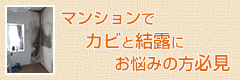 マンションでカビと結露でお悩みの方専用のホームページ